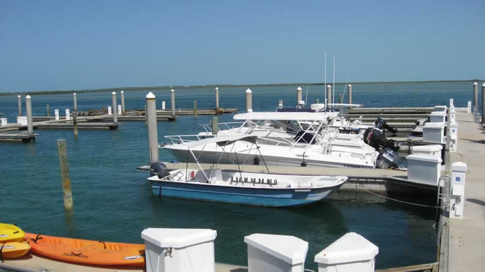 Bimini bay resort and marina
