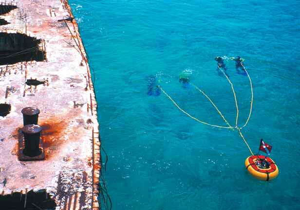 sapona-bimini-ship-wreck-snuba-dive (1)